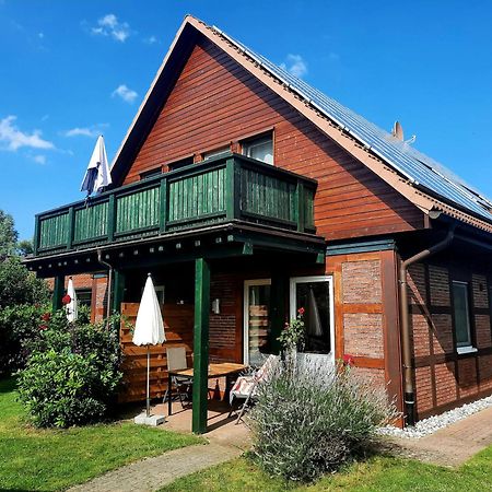 Ferienhaus Sasse Ferienwohnungen Mit Garten & Grill Molschow Exterior photo